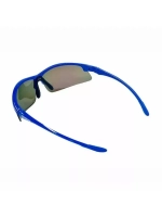 VERTICAL glasses blue, polarized lens CW56 + lens CW36