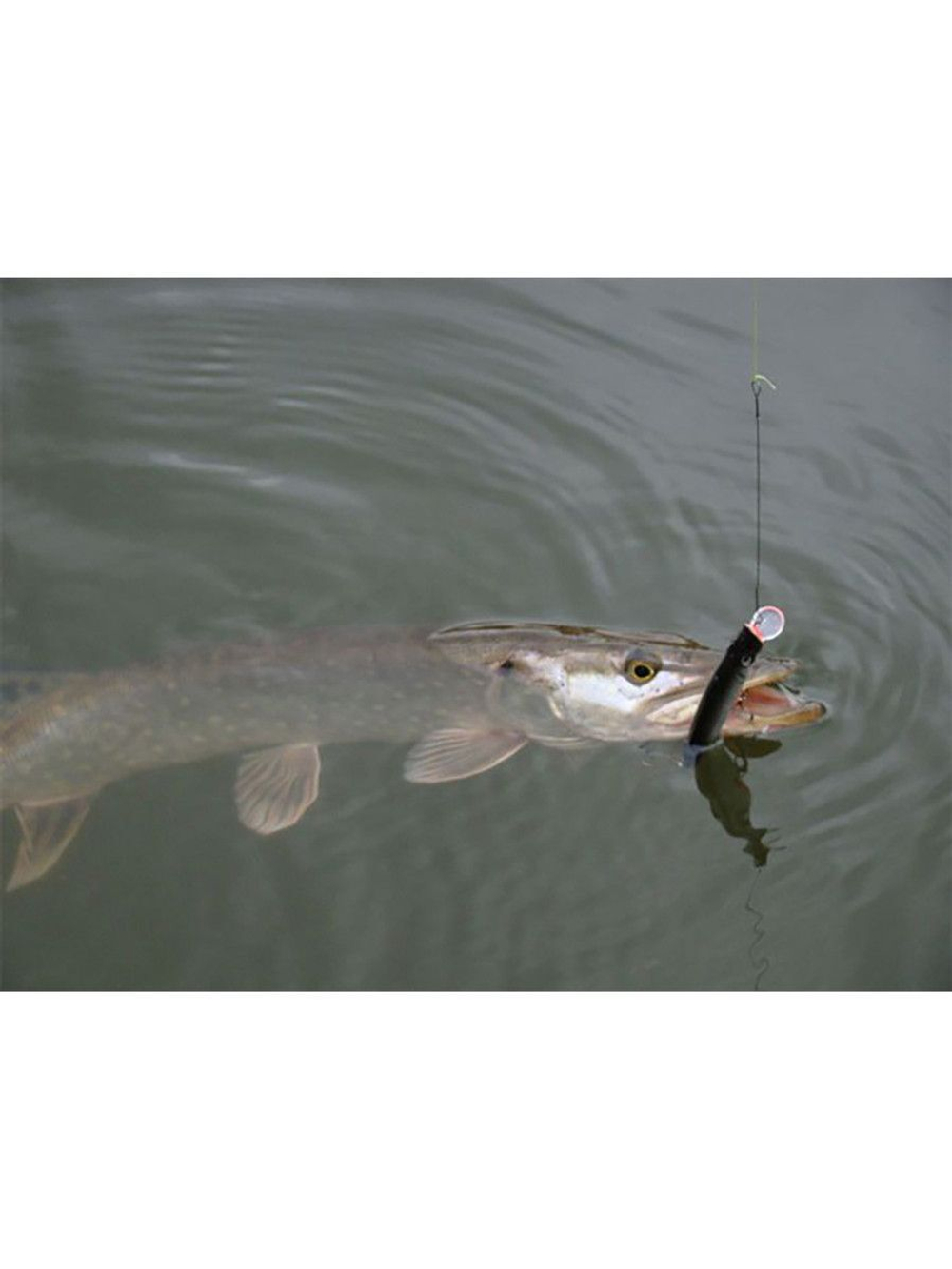 Воблер Минноу MACHNO 90mm, цвет 018 (карась), 2 штуки