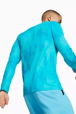 Вратарская кофта Puma teamTarget GK LS