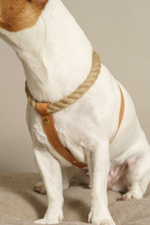 Шлейка "Кантри-пони" рыжая (льняной канат)