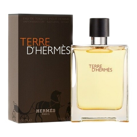 HERMES Terre d'Hermes edT 100ml men