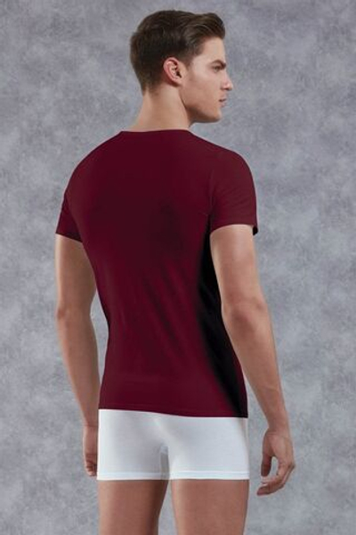 Классическая мужская футболка Doreanse Essentials (Размер: S) (Цвет: бордовый)