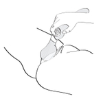 Розовый двусторонний вибростимулятор ZOA - 26,5 см. (Цвет: розовый)