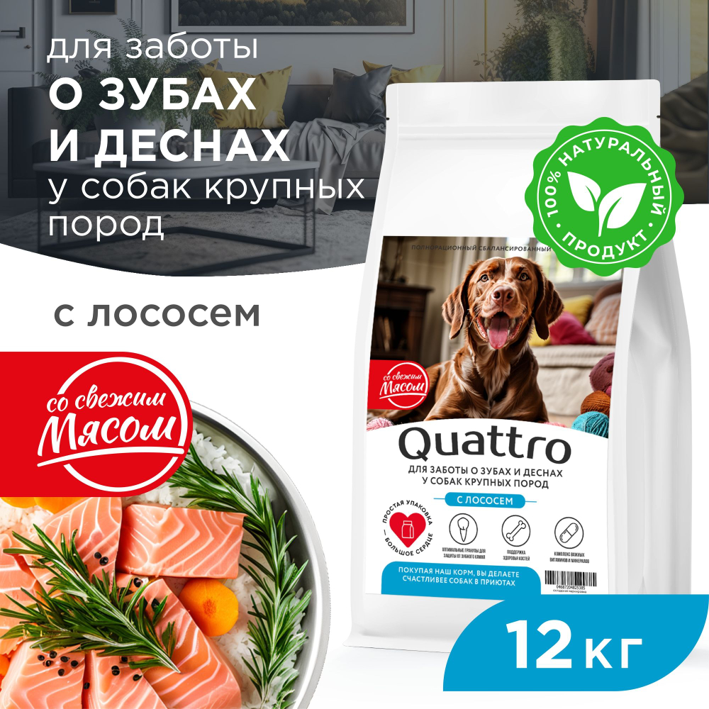 Корм сухой для взрослых собак крупных пород, премиум полнорационный комплекс, для заботы зубов и десен, с лососем, 12 кг, QUATTRO