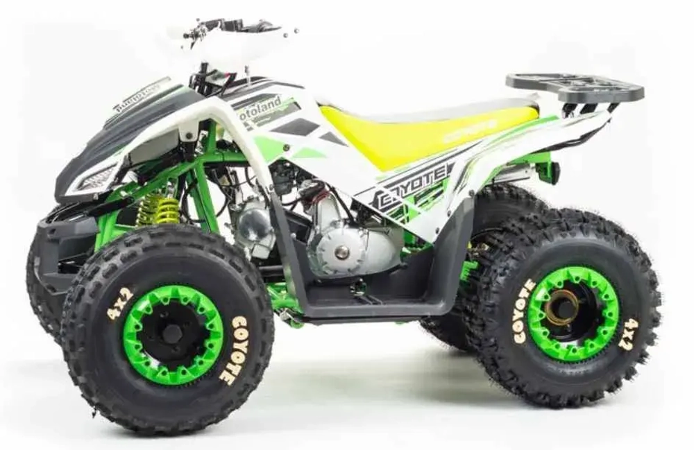 Квадроцикл Motoland 125 COYOTE