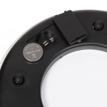 Весы кухонные электронные, стекло, Rion, Специи, платформа, точность 1 г, до 5 кг, LCD-дисплей, PT-812