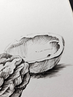 Картина, графика в паспарту 21х30 см на стену для интерьера "Грецкие орехи"