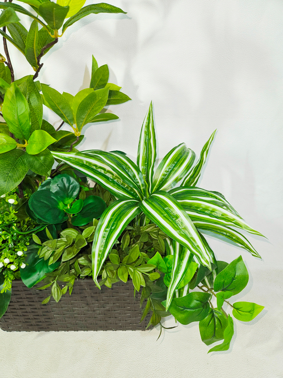 Искусственная Шеффлера с драценой 60см в длинном кашпо ротанг