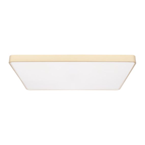 Потолочный светодиодный светильник Loft IT Flims 10228/E