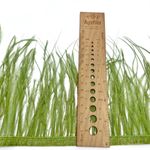 Перья страуса на ленте