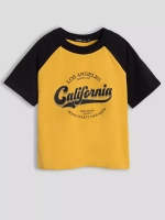 Летний костюм для мальчика с шортами