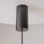 Подвесной светодиодный светильник Maytoni Shadows of the past MOD263PL-L20B3K