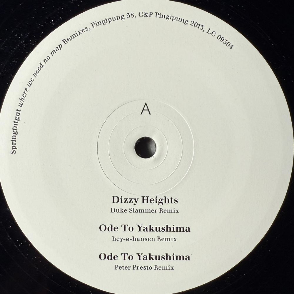 Springintgut ‎– Where We Need No Map Remixes (Германия 2013г.) EP
