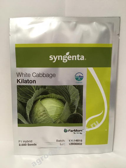 КИЛАТОН F1 семена капусты белокочанной (Syngenta | Alexagro) – фото 7