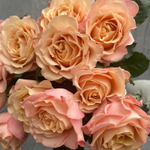 × 2 + 1 Сахара Сенсейшн — букет интерьерных роз