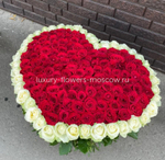 225 роз сердце с белым контуром