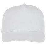 Пятипанельная кепка Hades