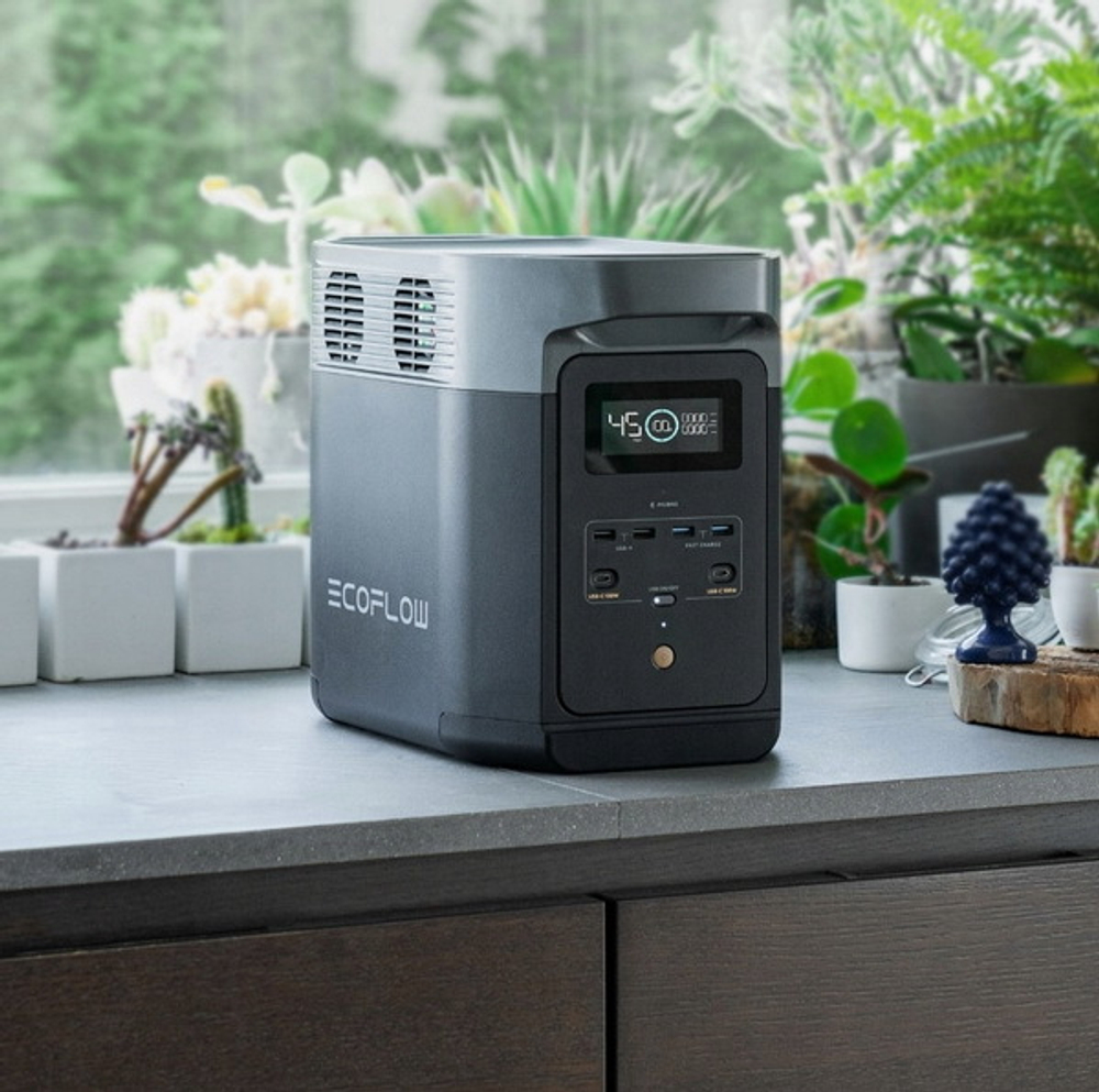 Электростанция EcoFlow Delta 2 | ParaGraf.ru | 8-800-600-86-80