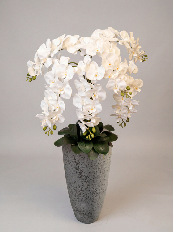 Искусственные Орхидеи белые люкс 7 веток 120см в кашпо Лофт