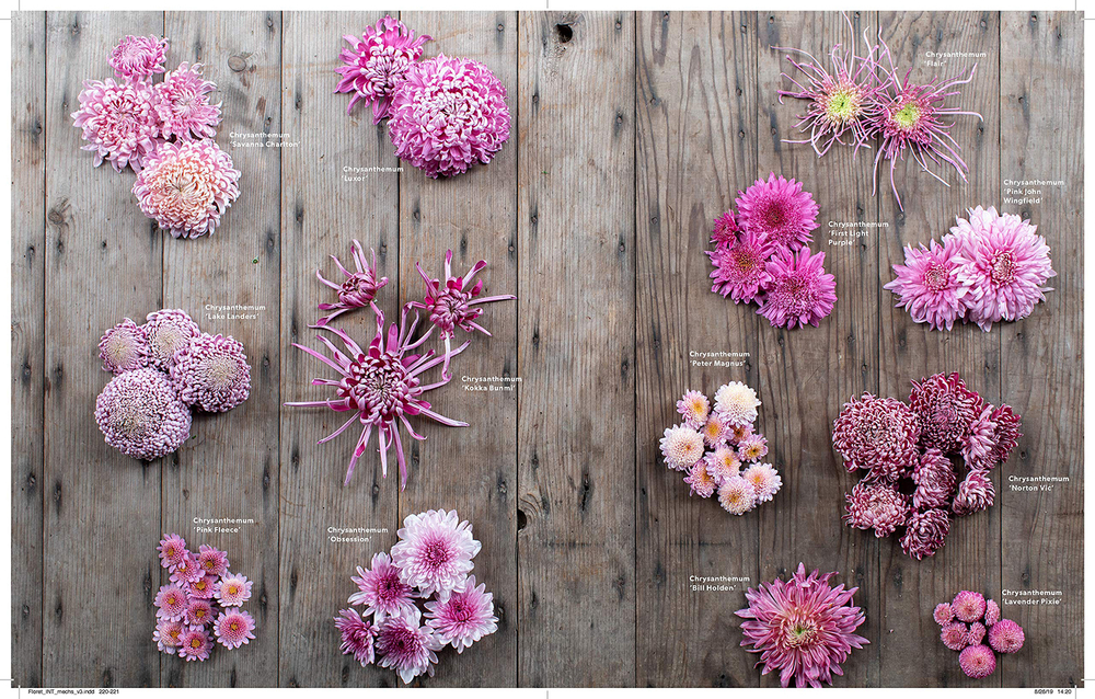 Floret Farm's. A Year in Flowers: Designing Gorgeous Arrangements for Every Season
