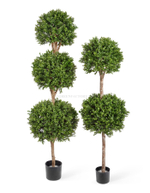 Самшит шар Тройной уличный