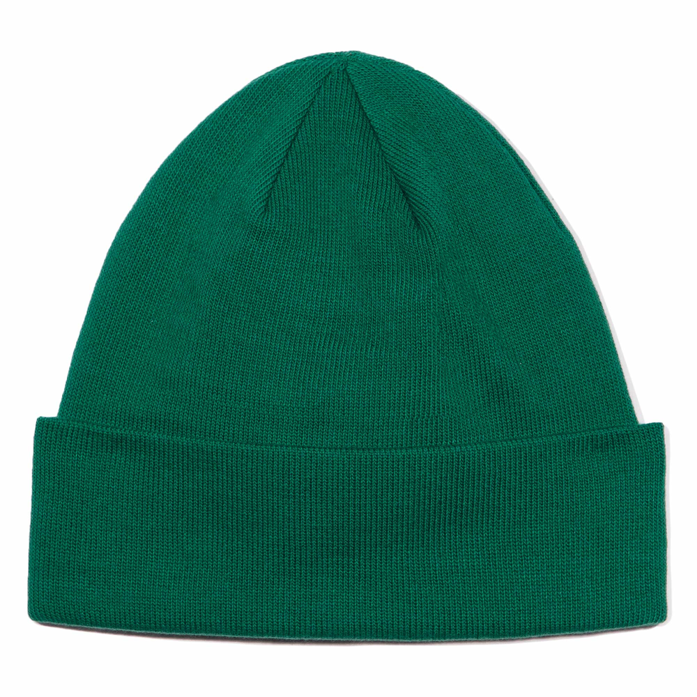 TOA5FW1NL1 Шапка The North Face Norm Beanie Green