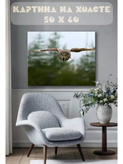Картина на стену 40 X 50 Сова
