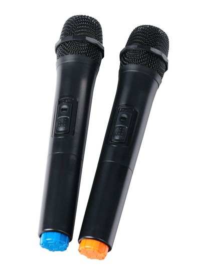 Акустическая система с 2 микрофонами, аккумуляторная, 120Вт, Leem PR-12HR