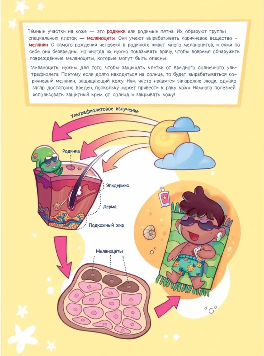 Микроб Дима ищет дом, или Путешествие по телу человека. Жуков Никита Эдуардович, Береснева Полина
