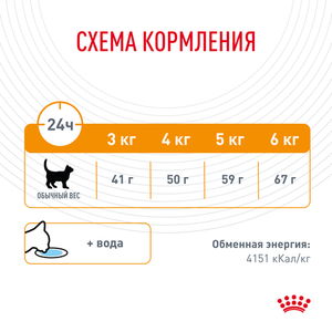 Сухой корм Royal Canin Hair&Skin Care для взрослых кошек для поддержания здоровья кожи и шерсти