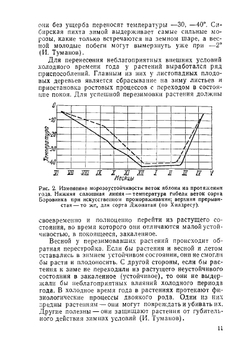 Зимние и весенние повреждения плодовых деревьев | З.А. Метлицкий