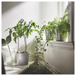 СМАЛЛСПИРЕА SMALLSPIREA Ваза 17 см, прозрачное стекло