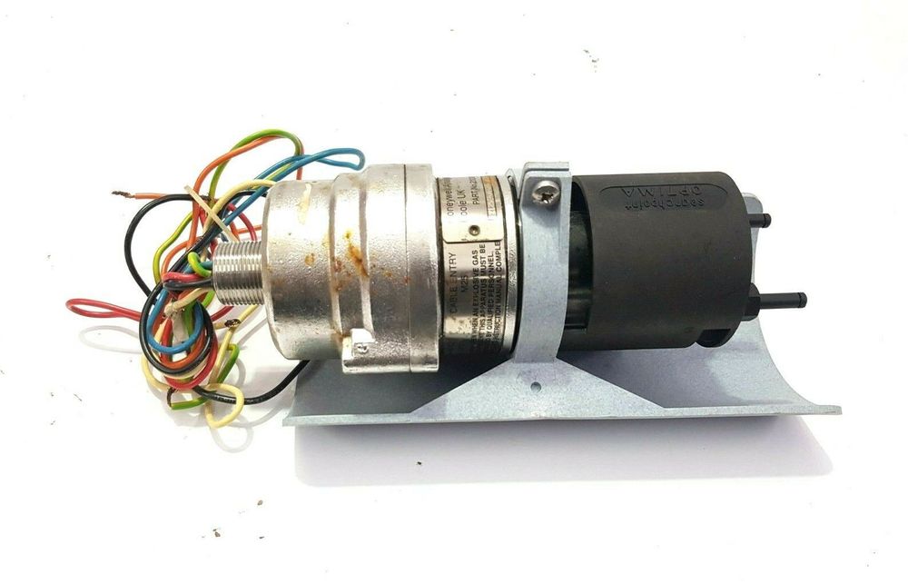 Z1256808460090