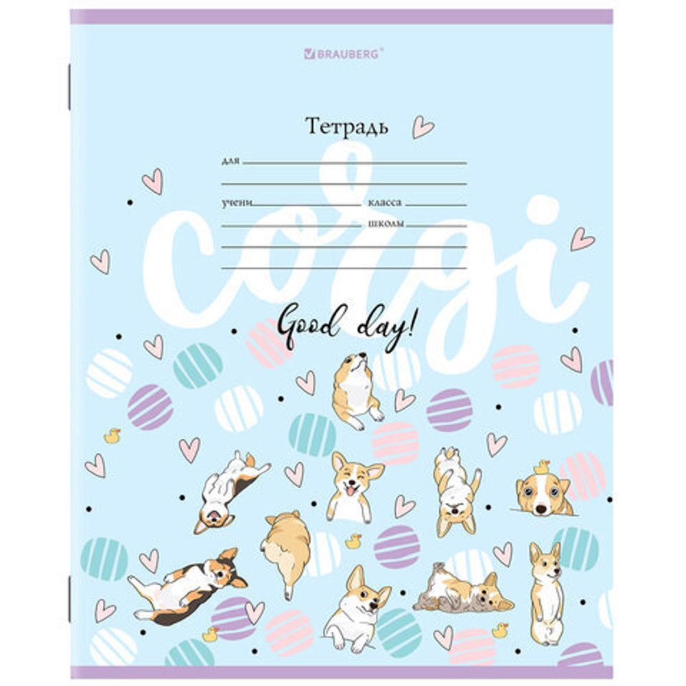 Тетрадь 12 л. BRAUBERG, клетка, обложка картон, "КОРГИ", 106460, 5шт