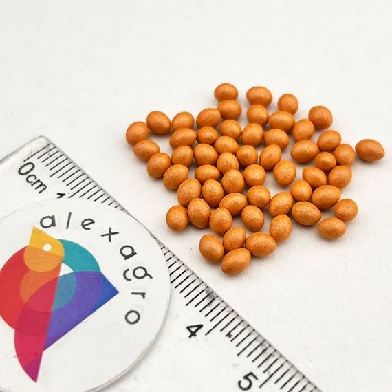 ЛИБЕРКИН семена салата Nunhems цена