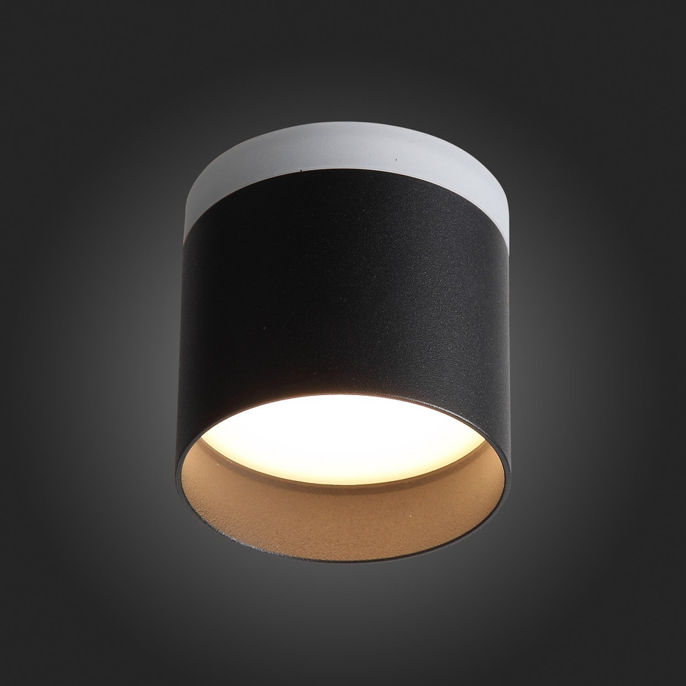 Светильник потолочный ST Luce Panaggio ST102.402.12