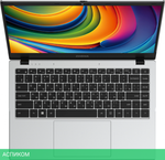 Ноутбук Digma EVE C4801 N100 Silver (DN14N1-8CXW01)