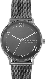 Мужские наручные часы Skagen SKW6624