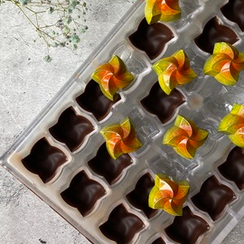 774 | Форма для шоколадных конфет "Ветерок" (275*175 мм)