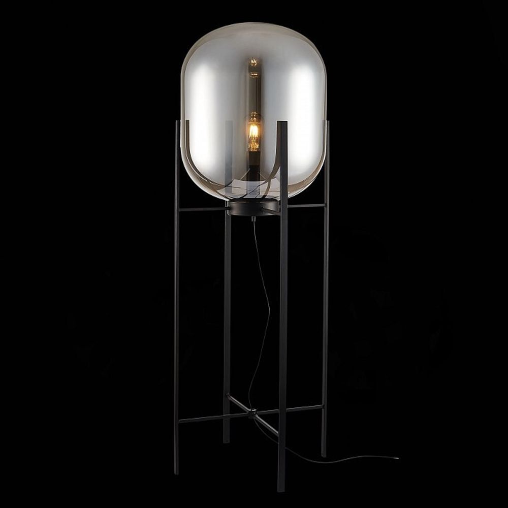 Торшер ST-Luce Burasca SL1050.725.01