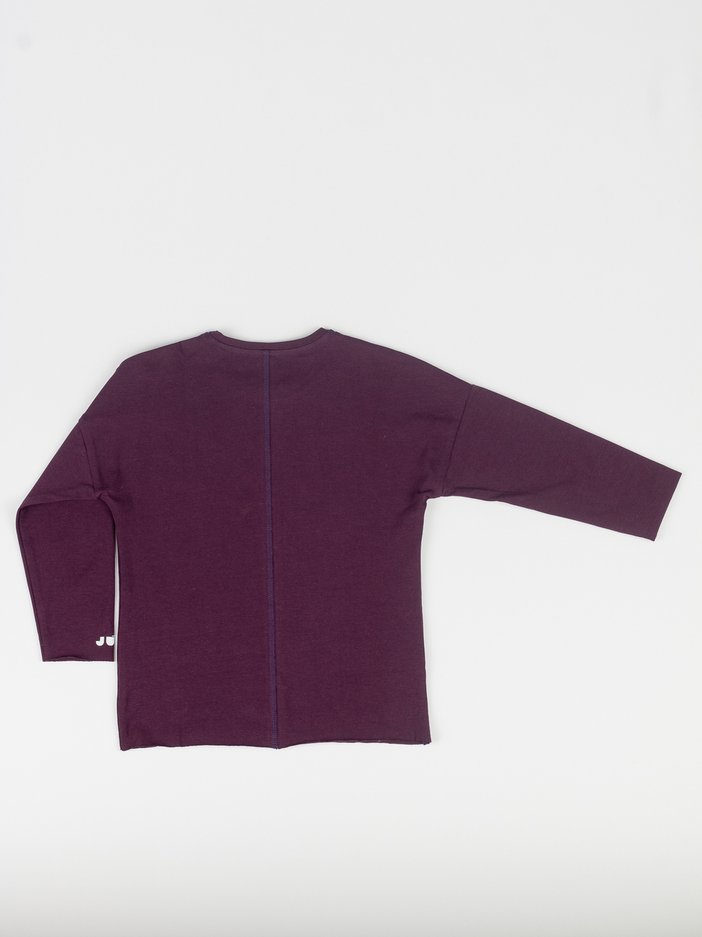 Лонгслив (Баклажан) Basics