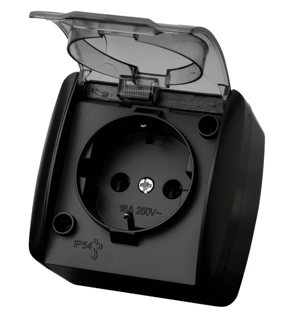 Розетка 2P+3 графит Селигер открытой установки с прозрачной крышкой 16А IP54 TDM
