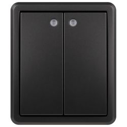 Выключатель ЭРА Эксперт 11-1205-05 двойной с подсветкой IP20 10АХ-250В ОУ антрацит | Эра Эксперт
