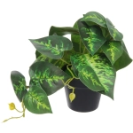 Цветок искусственный в горшке «Диффенбахия» 20*16см гладкий лист