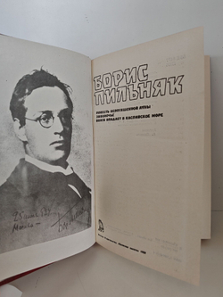 Повесть непогашенной луны