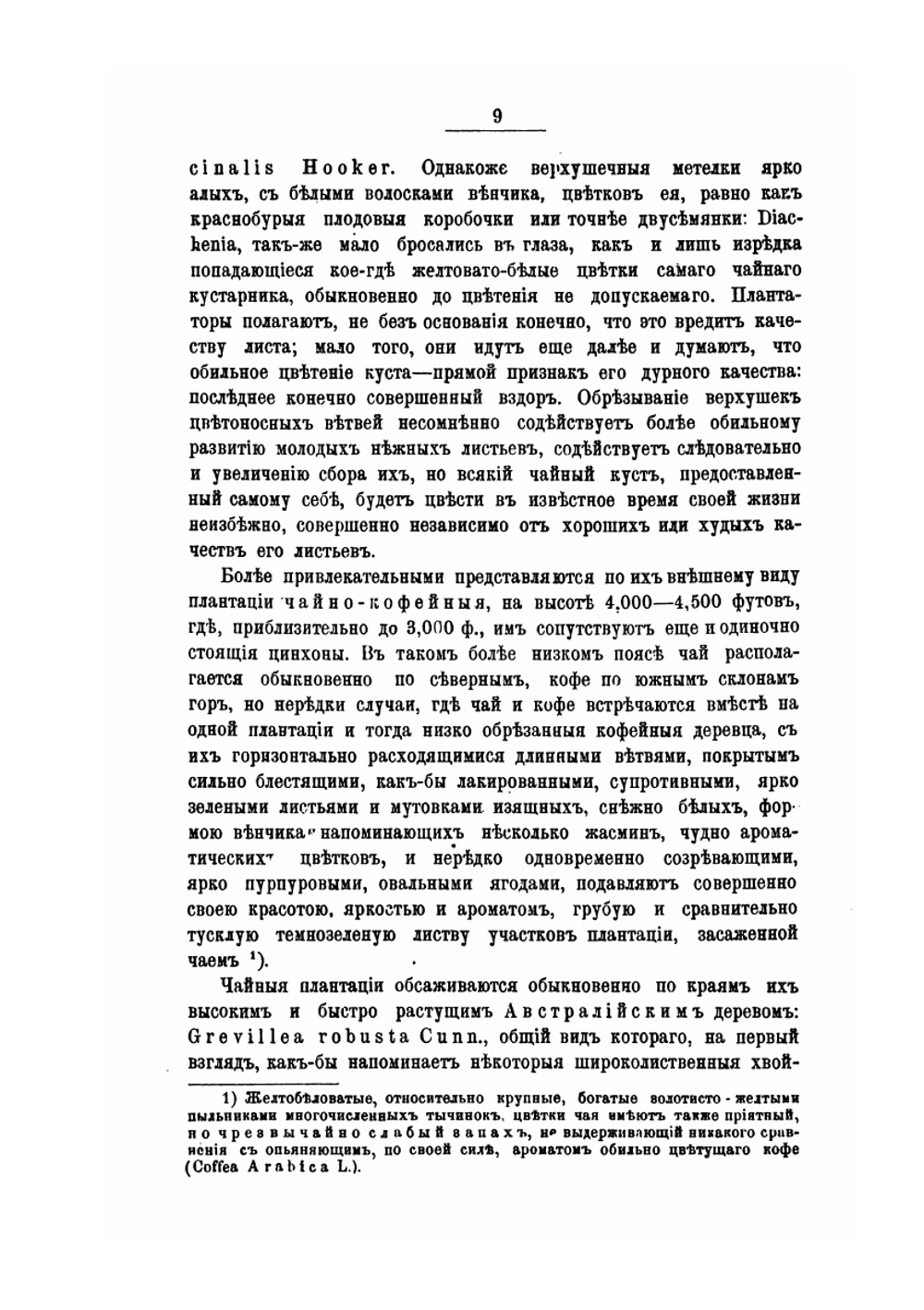 Культура и производство чая на цейлоне и в Китае | В.А. Тихомиров