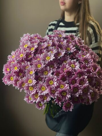Хризантема кустовая "Ромашка" (розовая)