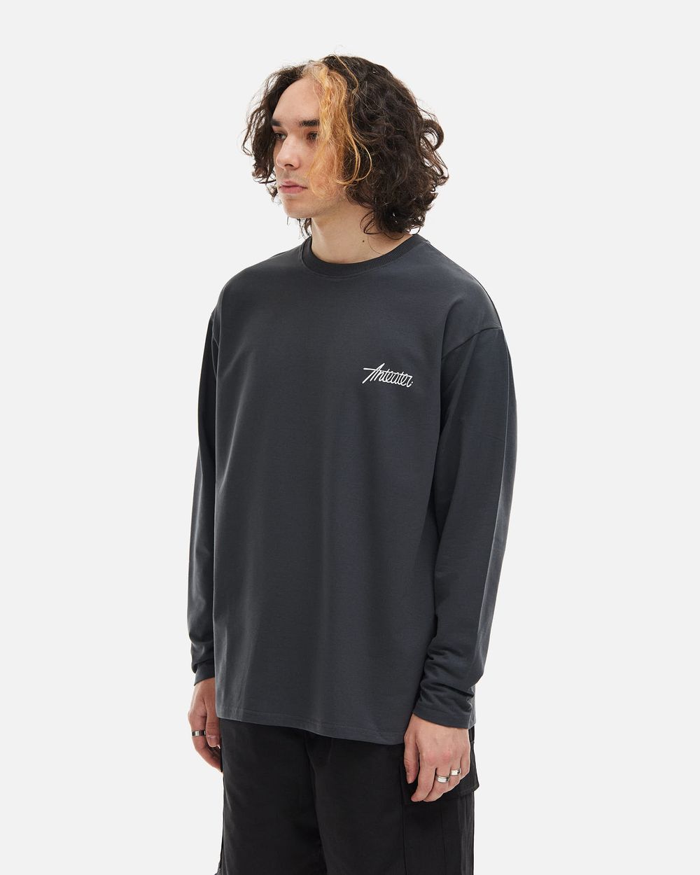 Лонгслив Anteater Phat Long 110 темно-серый