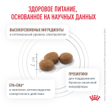 Royal Canin Gastrointestinal Moderate Calorie GIM 35 Feline Корм сухой для кошек 2 кг