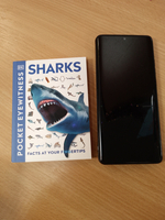 Sharks (Pocket Eyewitness)